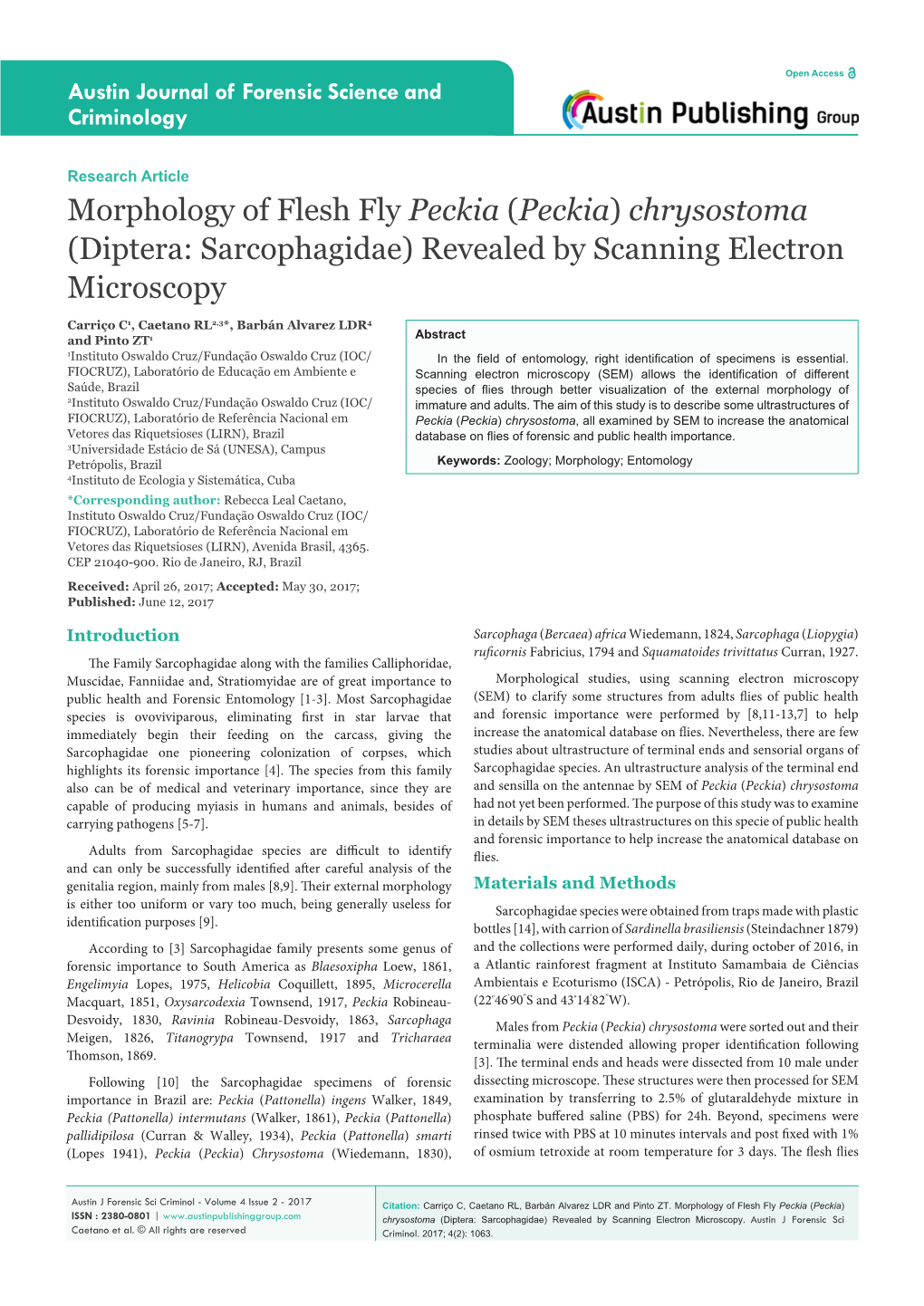 (Peckia) Chrysostoma (Diptera: Sarcophagidae) Revealed by Scanning Electron Microscopy