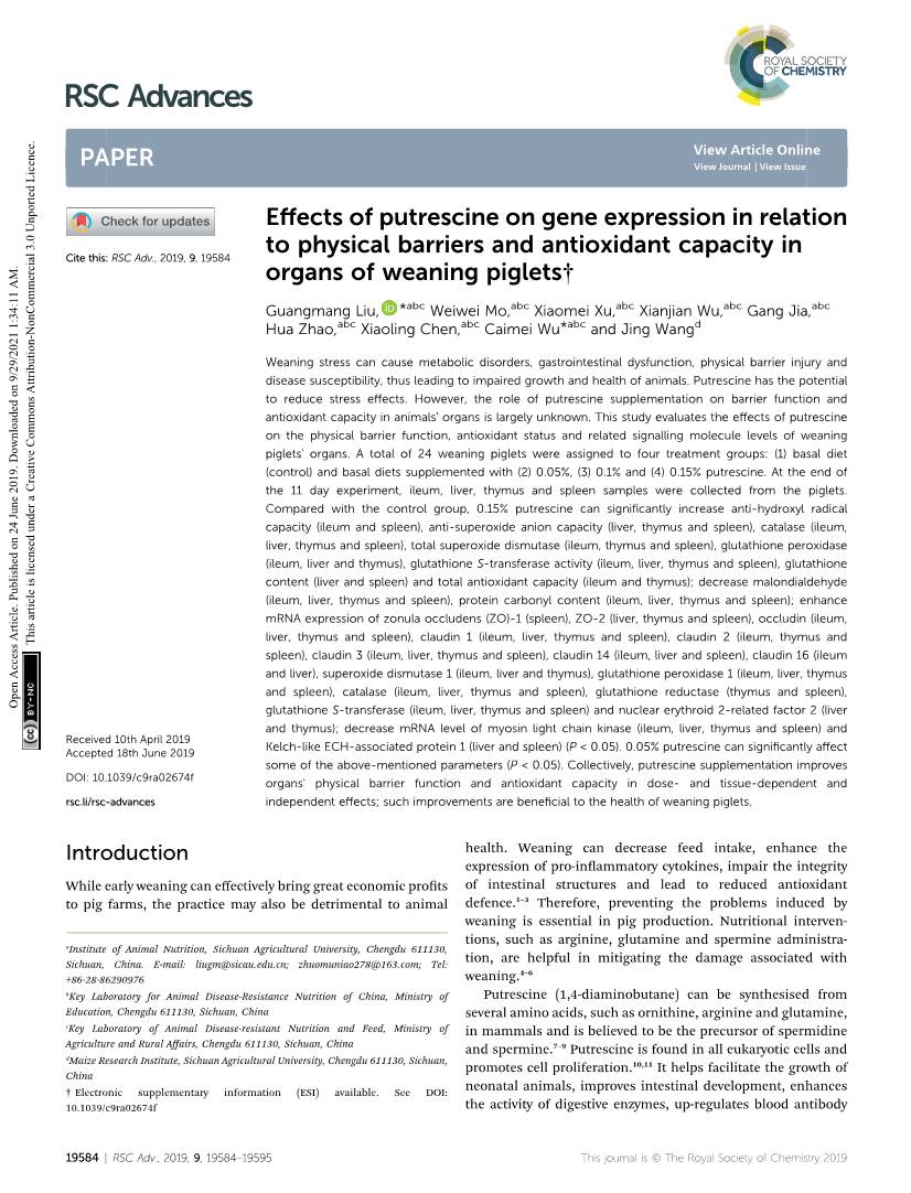 Effects of Putrescine on Gene Expression in Relation to Physical