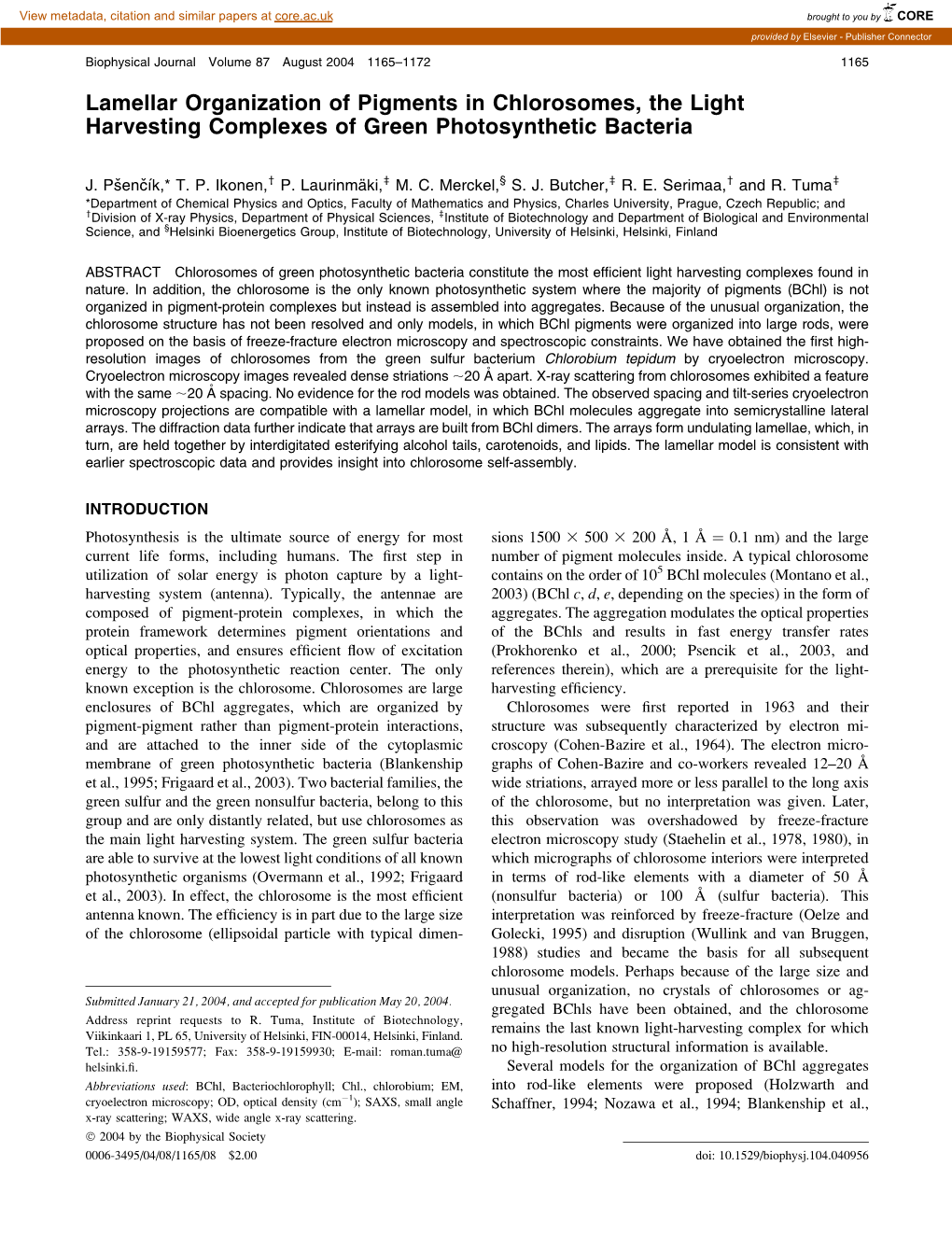 Lamellar Organization of Pigments in Chlorosomes, the Light Harvesting Complexes of Green Photosynthetic Bacteria