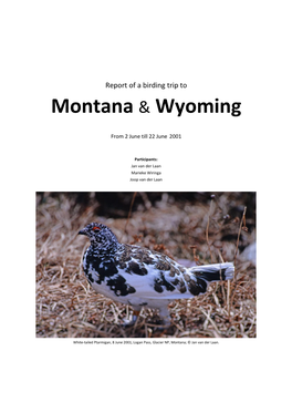 Montana and Wyoming 2001