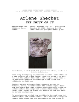 Arlene Shechet's Sculpture
