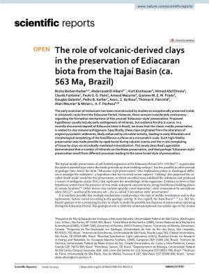 The Role of Volcanic-Derived Clays in the Preservation Of
