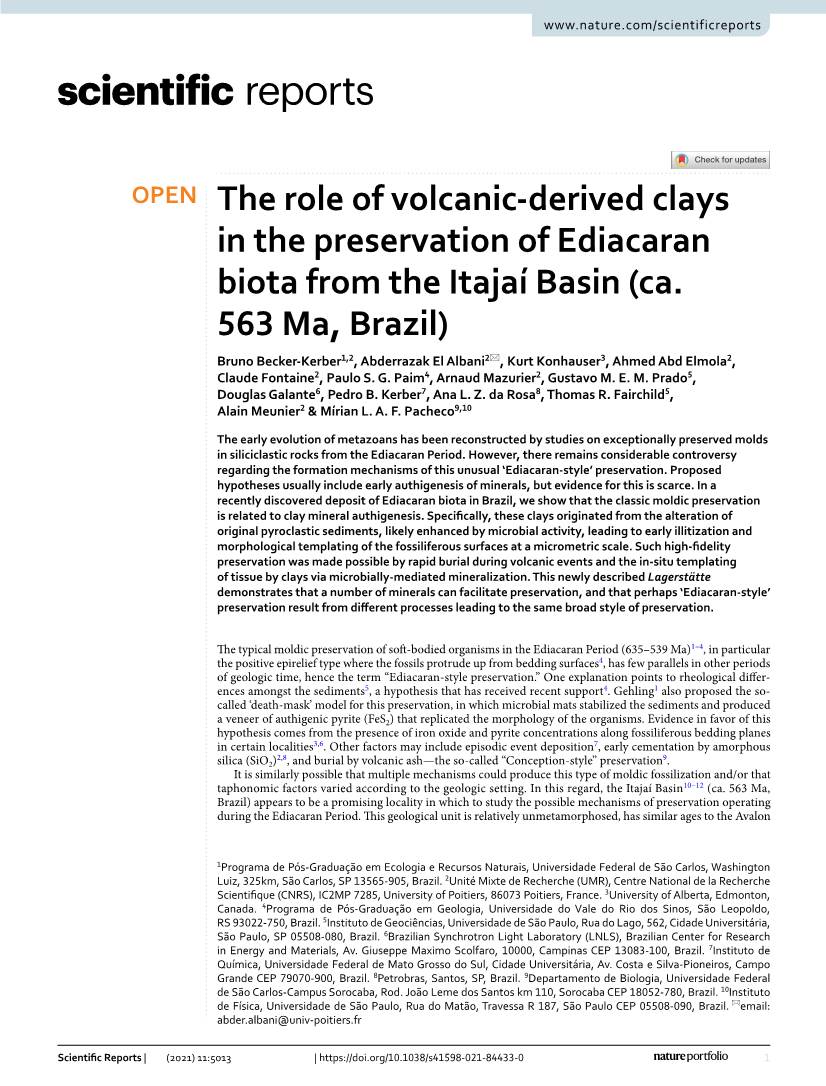 The Role of Volcanic-Derived Clays in the Preservation Of