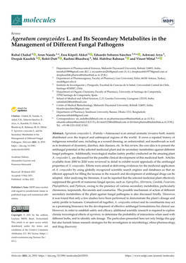 Ageratum Conyzoides L. and Its Secondary Metabolites in the Management of Different Fungal Pathogens