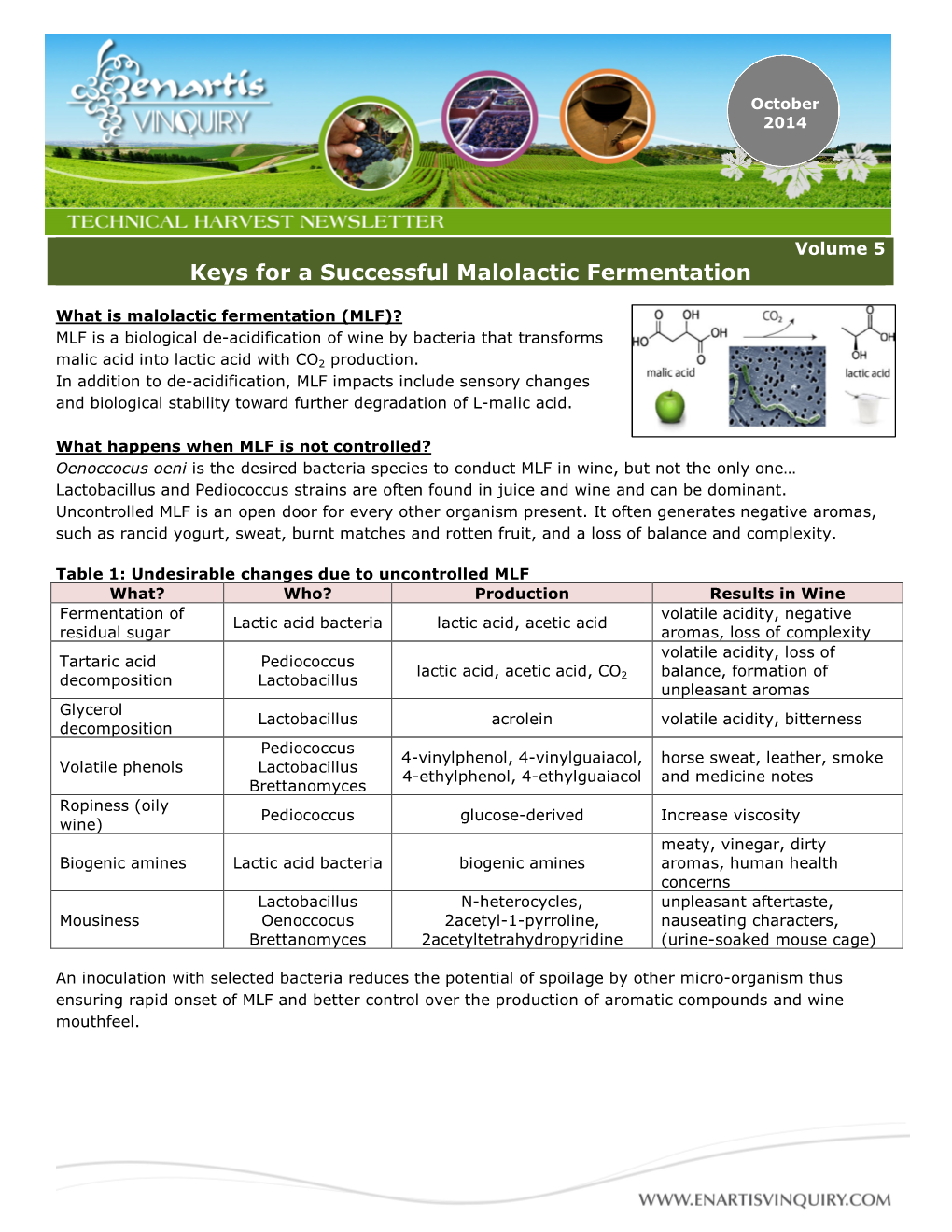 Keys for a Successful Malolactic Fermentation