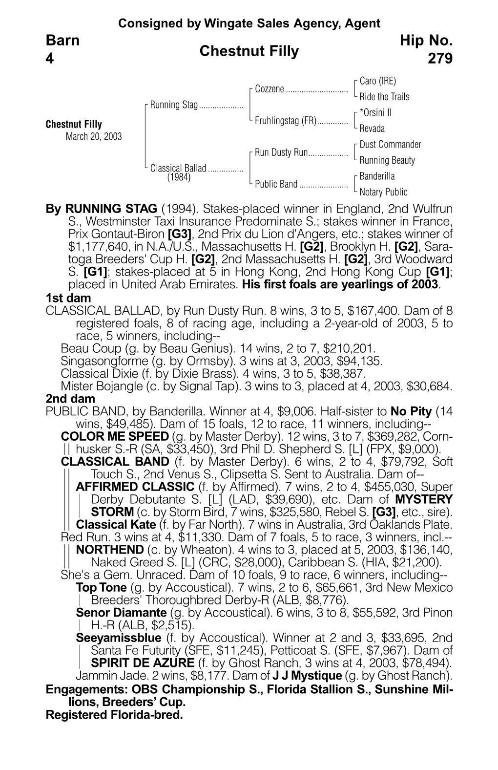 Chestnut Filly Barn 4 Hip No