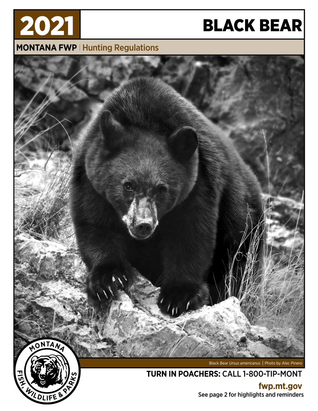2021 BLACK BEAR MONTANA FWP Hunting Regulations