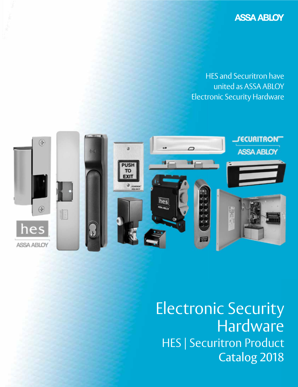 Electronic Security Hardware
