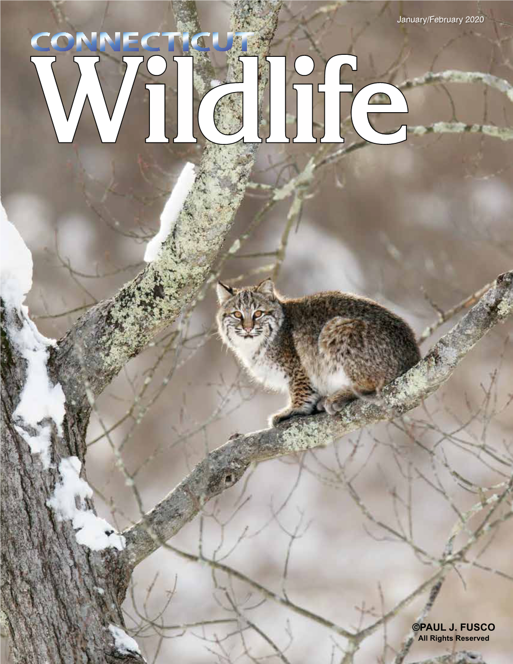 Connecticut Wildlife Jan/Feb 2020