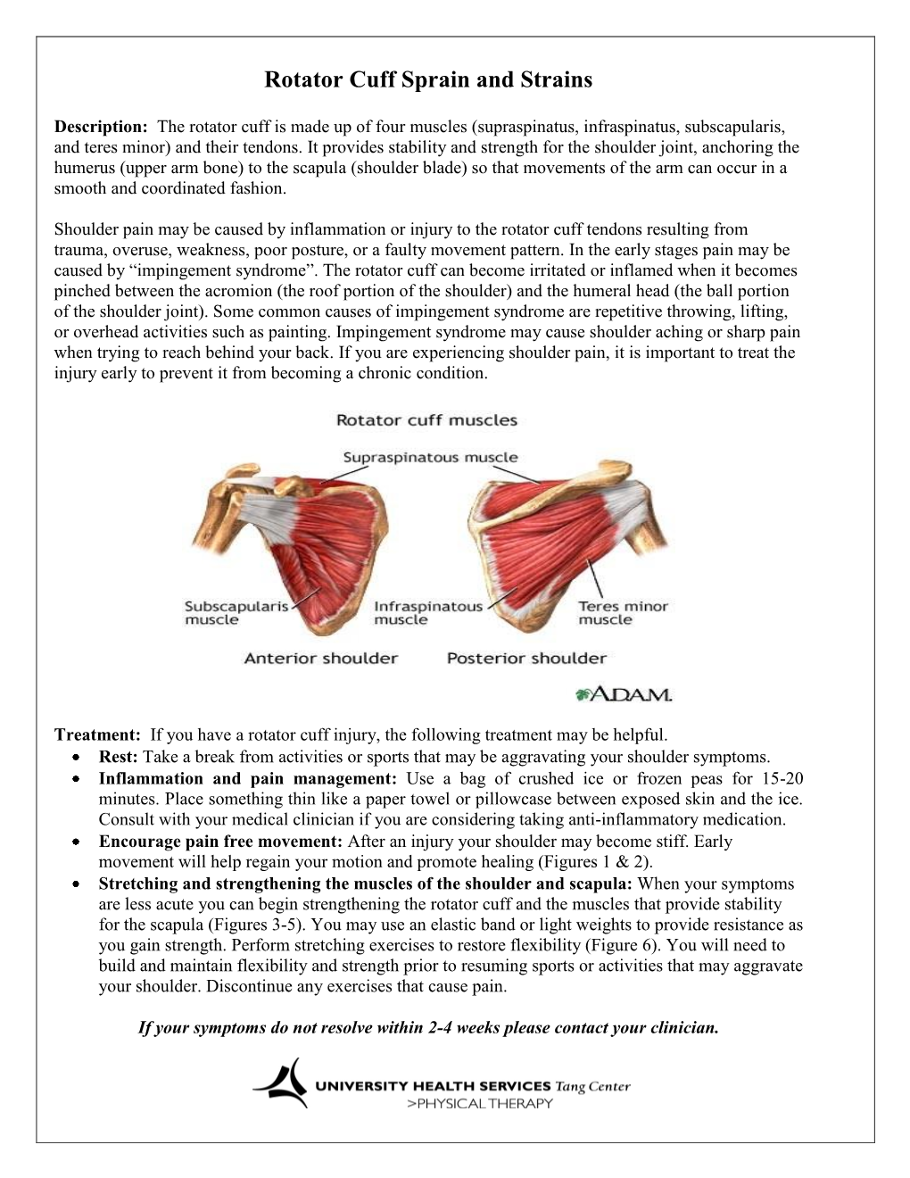 Rotator Cuff Sprain and Strains