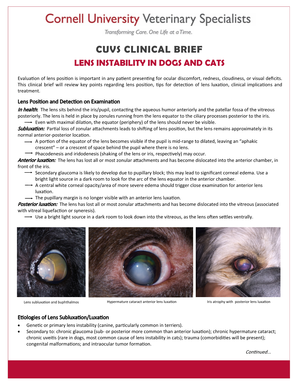 Cuvs Clinical Brief Lens Instability in Dogs and Cats