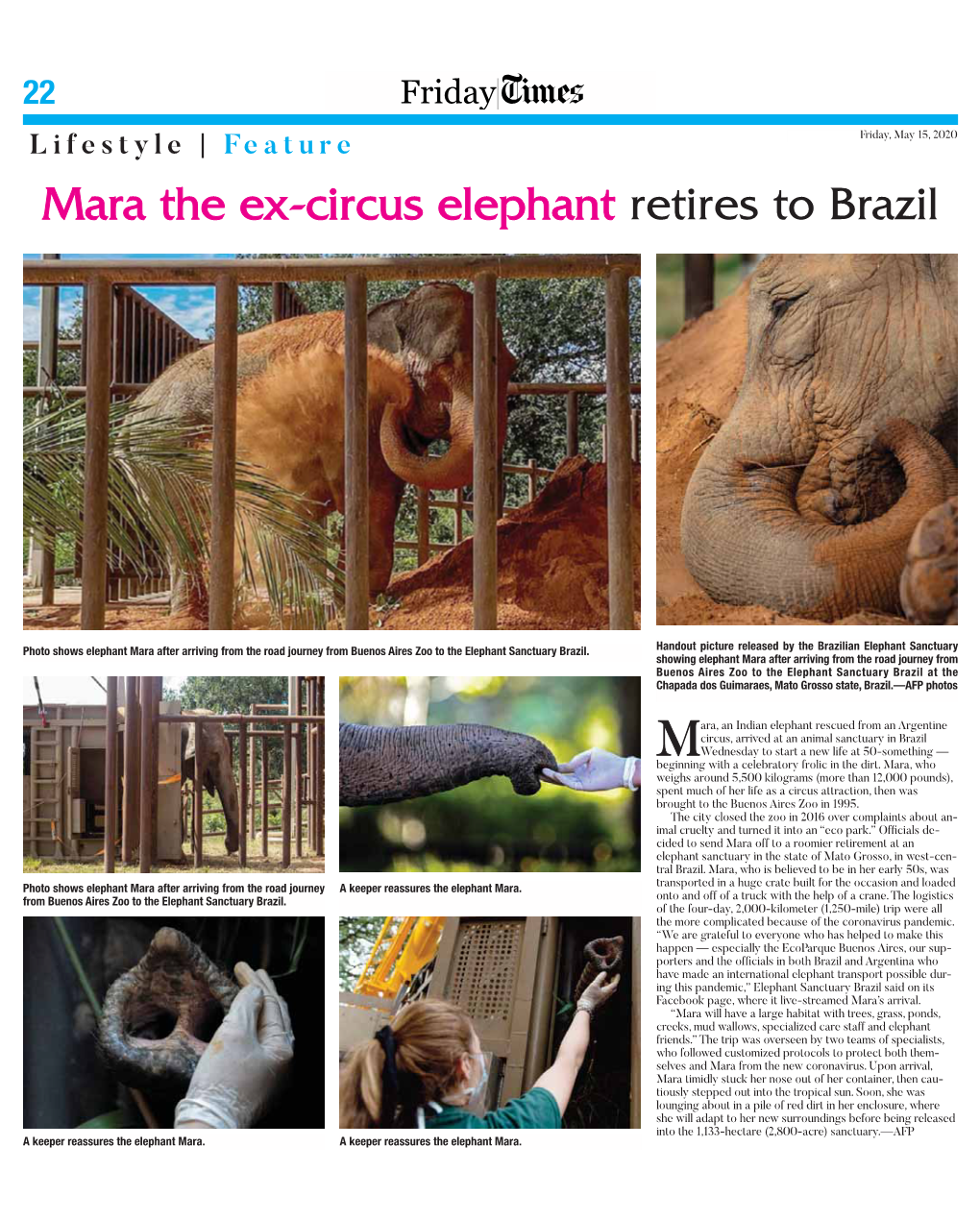 Mara the Ex-Circus Elephant Retires to Brazil