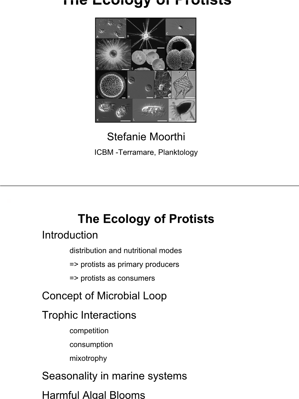 The Ecology of Protists