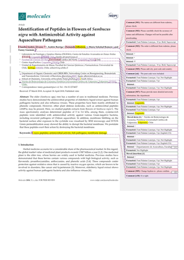 Identification of Peptides in Flowers of Sambucus Nigra with Antimicrobial
