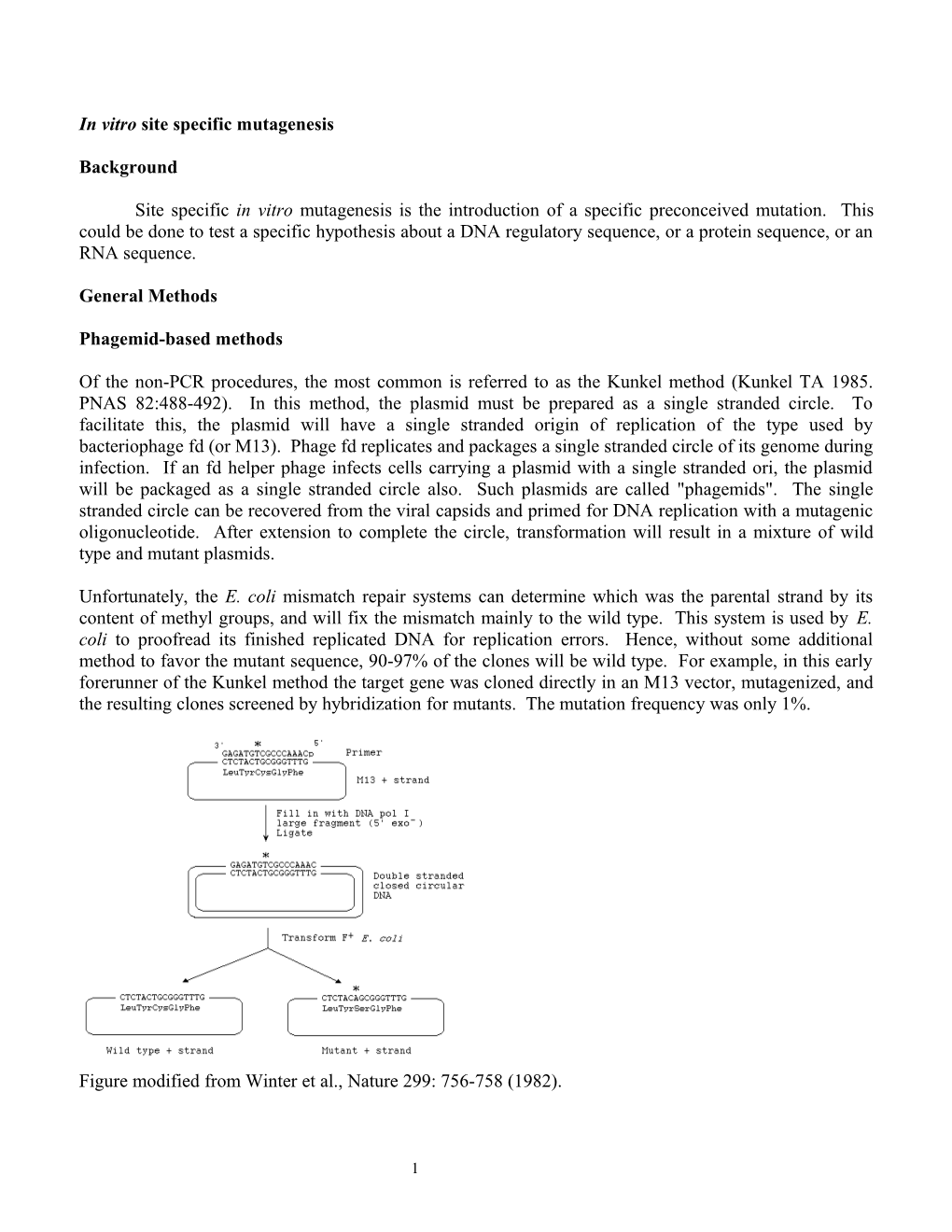 In Vitro Site Specific Mutagenesis