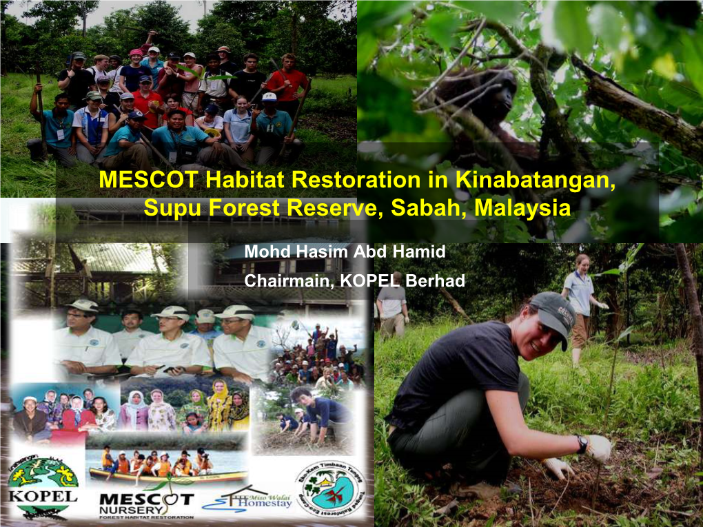 MESCOT Habitat Restoration in Kinabatangan, Supu Forest Reserve, Sabah, Malaysia Mohd Hasim Abd Hamid Chairmain, KOPEL Berhad