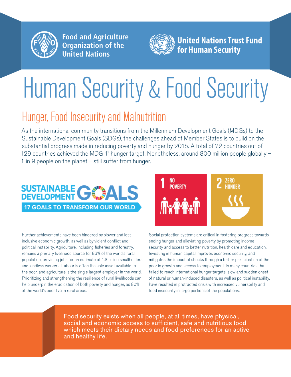 Human Security & Food Security