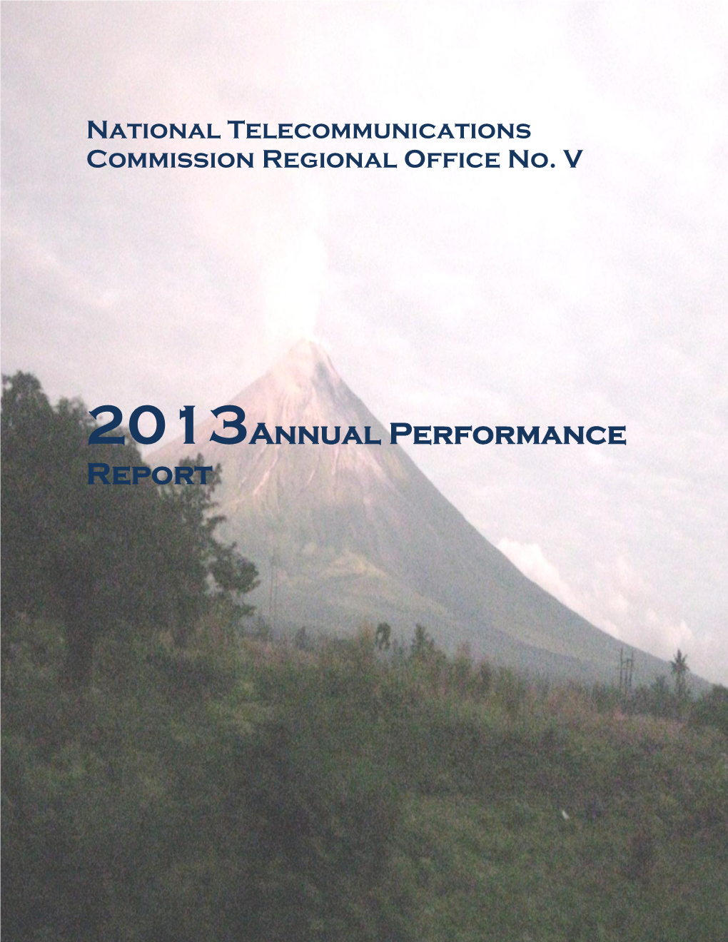 2013Annual Performance Report