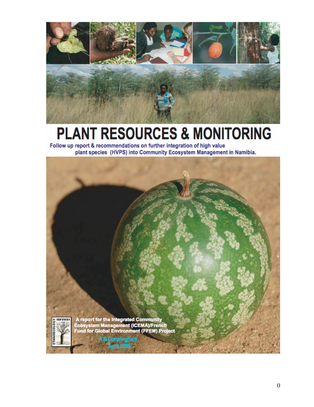 ICEMA-Plant-Monitoring-Report.Pdf