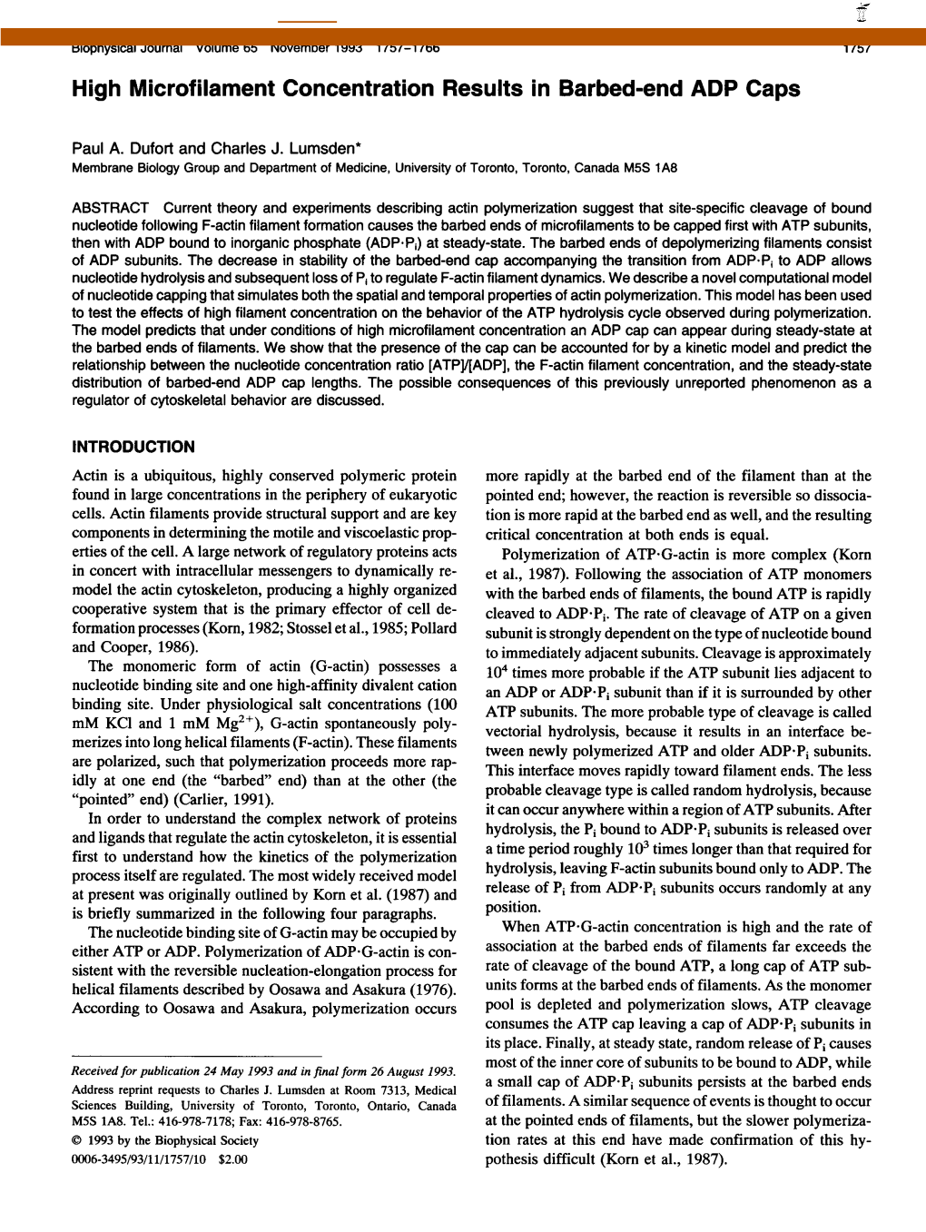 High Microfilament Concentration Results in Barbed-End ADP Caps