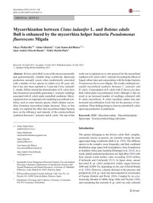 Mycorrhization Between Cistus Ladanifer L. and Boletus Edulis Bull Is Enhanced by the Mycorrhiza Helper Bacteria Pseudomonas Fluorescens Migula