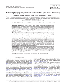 Molecular Phylogeny and Genome Size Evolution of the Genus Betula (Betulaceae)