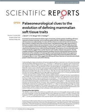 Palaeoneurological Clues to the Evolution of Defining Mammalian Soft Tissue Traits Received: 27 January 2016 J