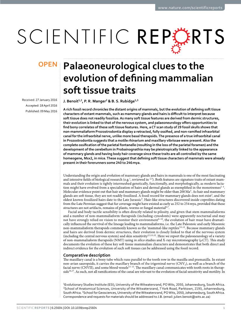 Palaeoneurological Clues to the Evolution of Defining Mammalian Soft Tissue Traits Received: 27 January 2016 J