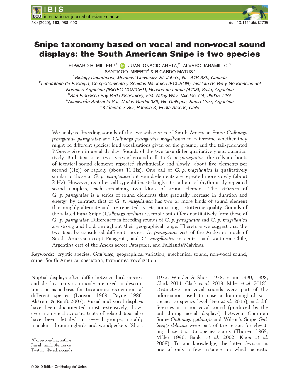 Snipe Taxonomy Based on Vocal and Non‐Vocal Sound Displays