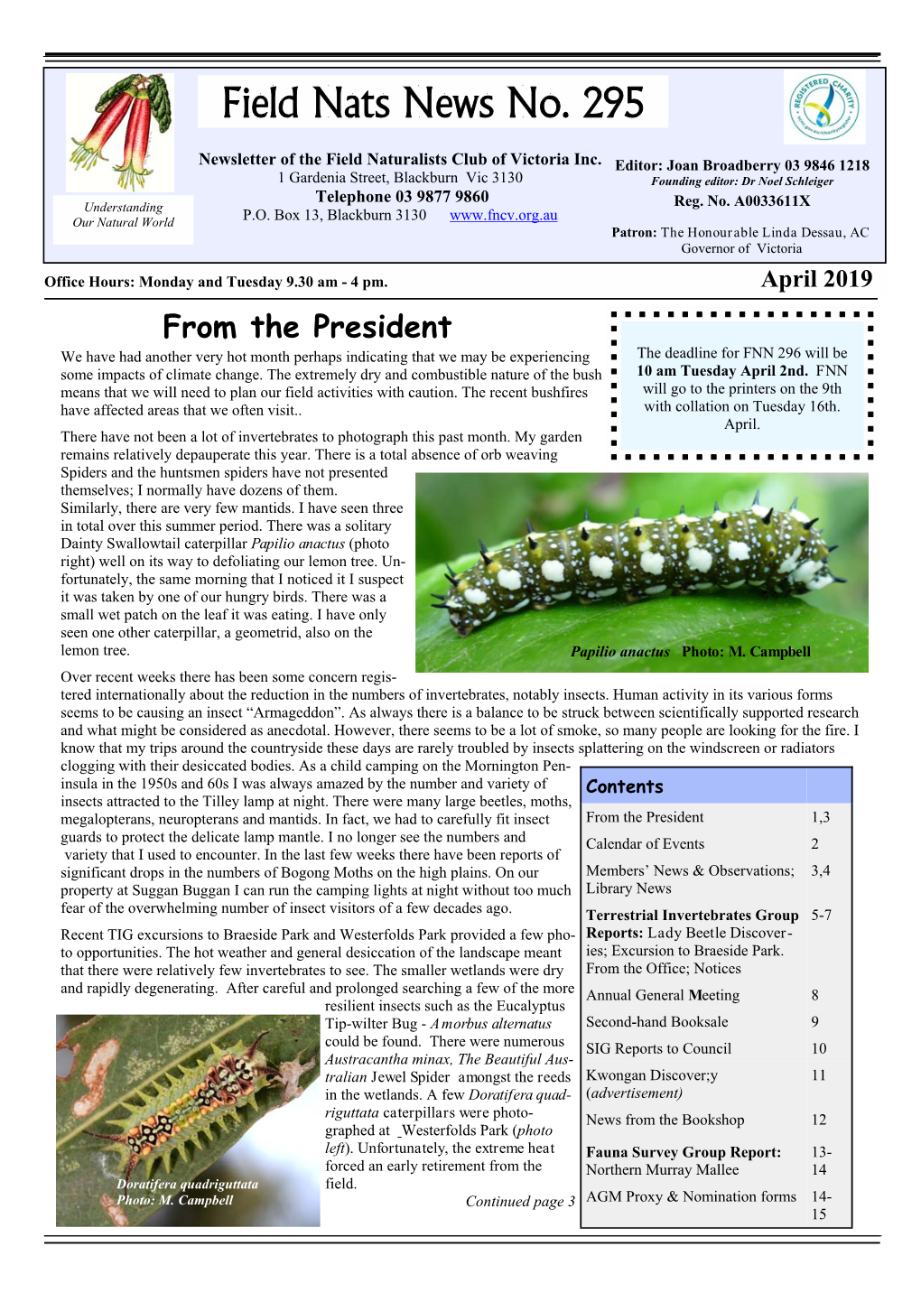 FNN 295 Digital.Pub