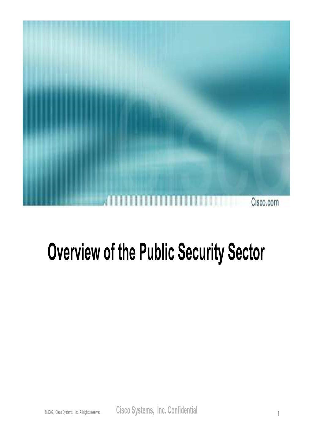 Overview of the Public Security Sector