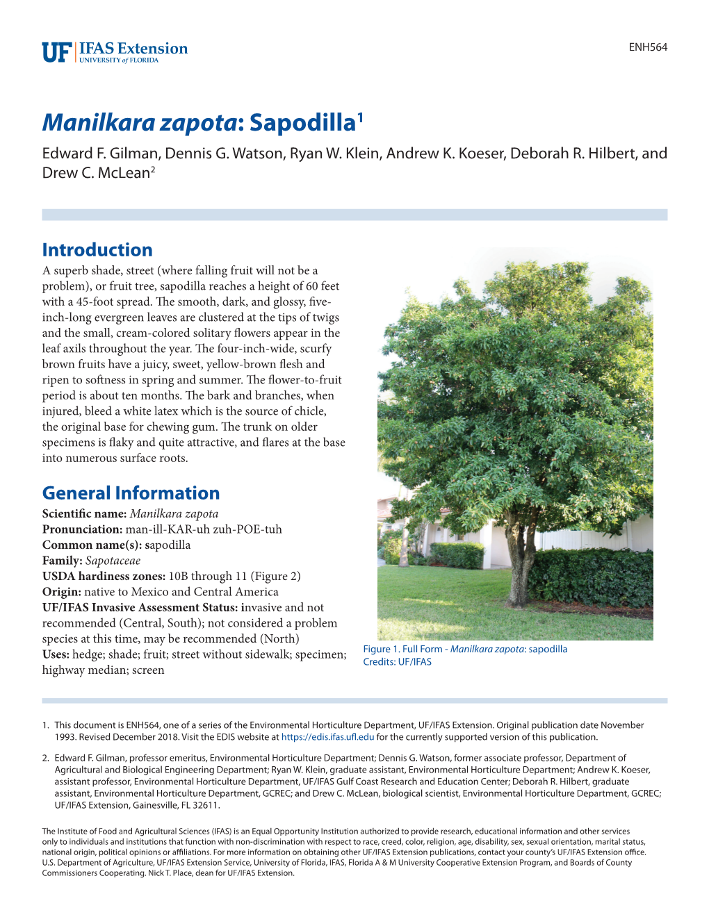 Manilkara Zapota: Sapodilla1 Edward F