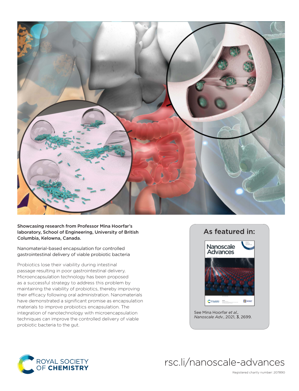 Nanomaterial-Based Encapsulation for Controlled Gastrointestinal Delivery of Viable Probiotic Bacteria