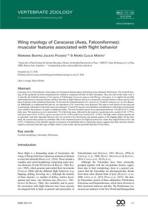 Aves, Falconiformes): Muscular Features Associated with Flight Behavior