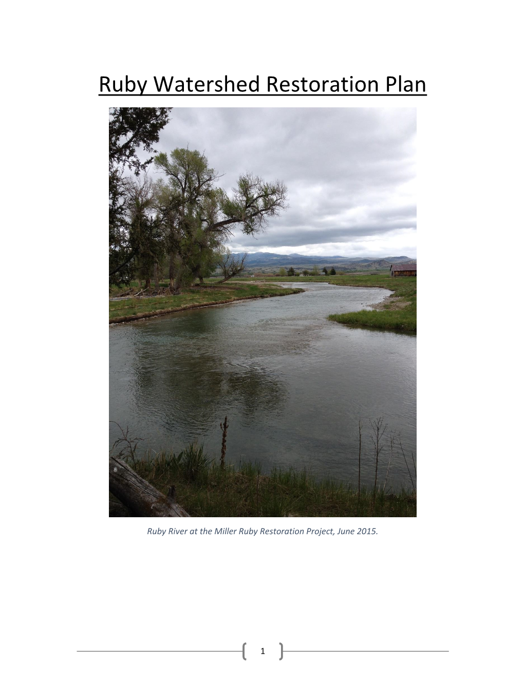 Ruby Watershed Restoration Plan