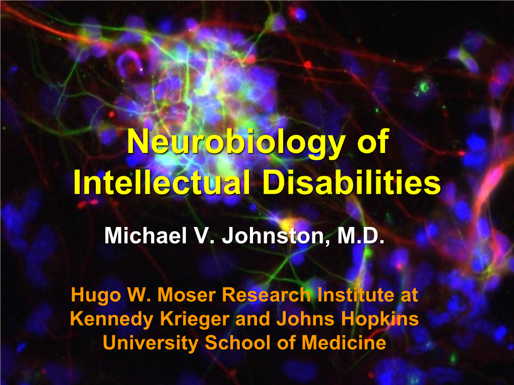 Neurobiology of Intellectual Disabilities