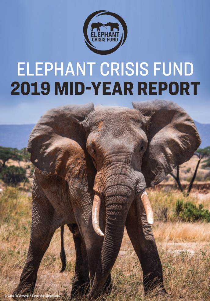 Elephant Crisis Fund 2019 Mid-Year Report