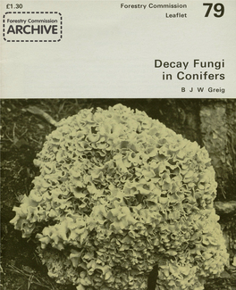 Decay Fungi in Conifers