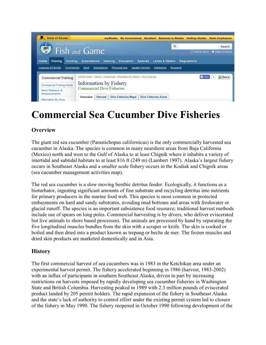 Commercial Sea Cucumber Dive Fisheries