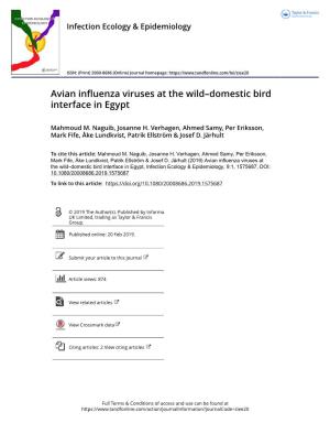 Avian Influenza Viruses at the Wild–Domestic Bird Interface in Egypt