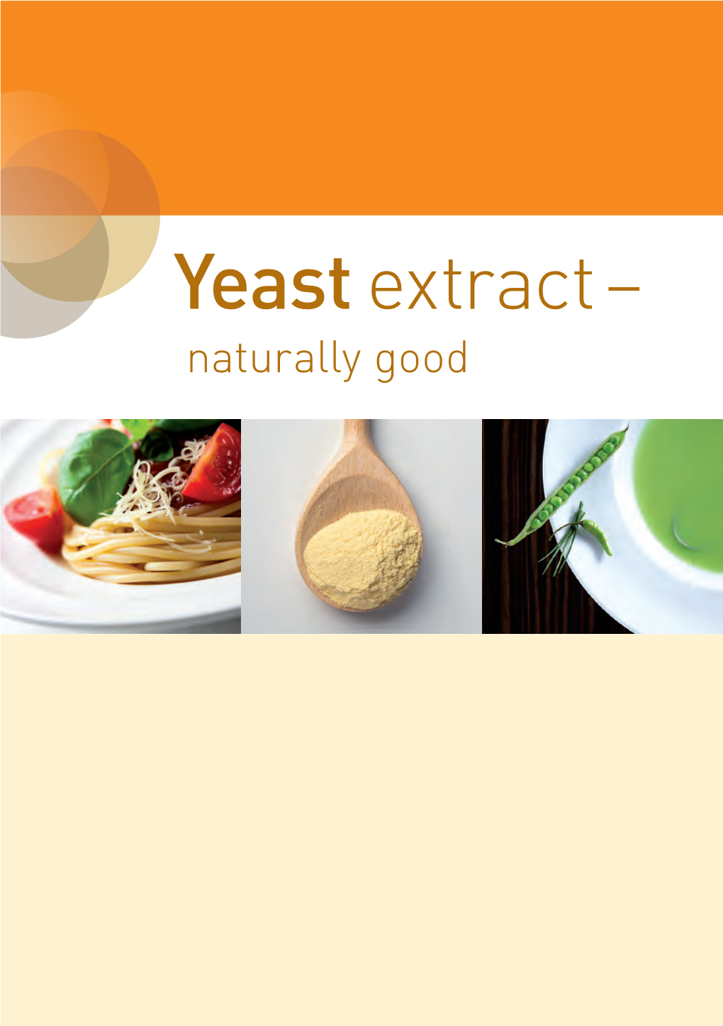 Yeast Extract Facts