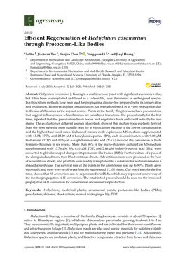 Efficient Regeneration of Hedychium Coronarium Through Protocorm-Like Bodies