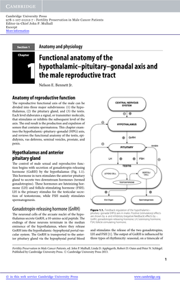 Functional Anatomy of the Hypothalamic–Pituitary–Gonadal Axis and 1 the Male Reproductive Tract