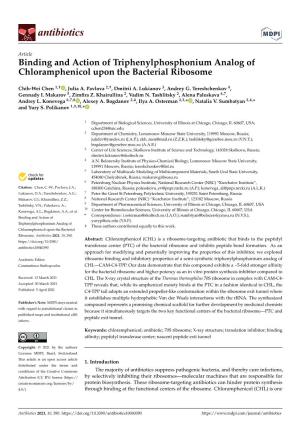Binding and Action of Triphenylphosphonium Analog of Chloramphenicol Upon the Bacterial Ribosome