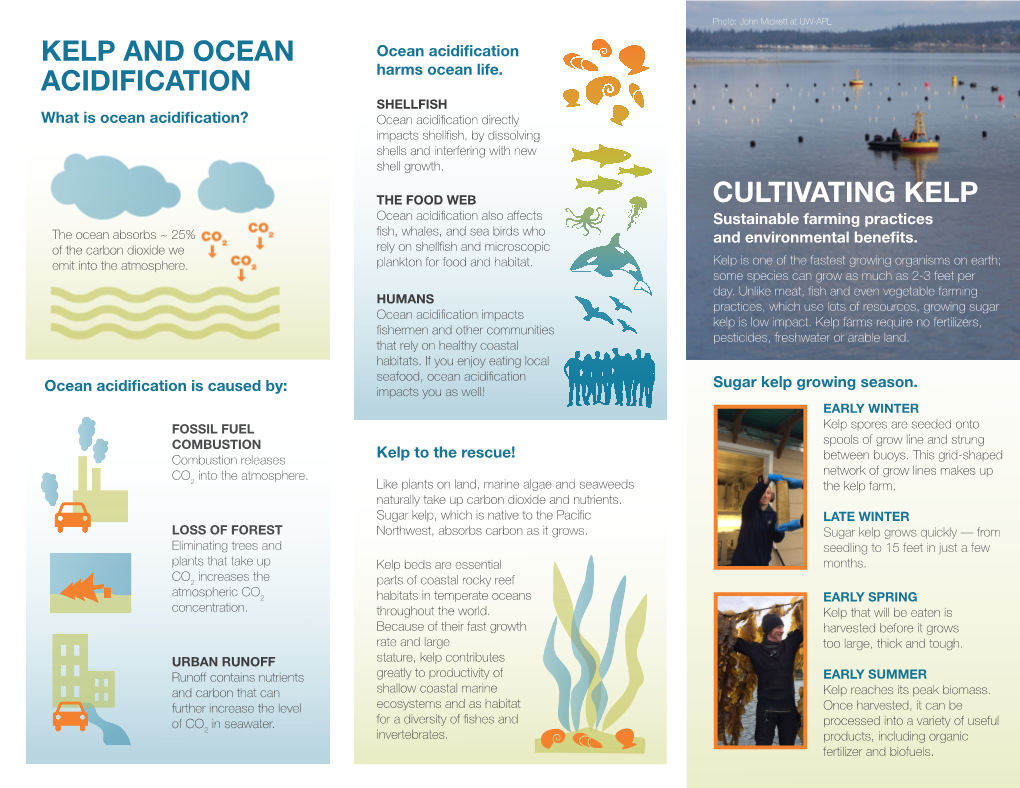 Kelp and Ocean Acidification Cultivating Kelp
