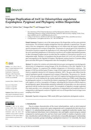 Unique Duplication of Trnn in Odontoptilum Angulatum (Lepidoptera: Pyrginae) and Phylogeny Within Hesperiidae
