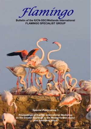 Flamingo, Special Publication 1, January 2009