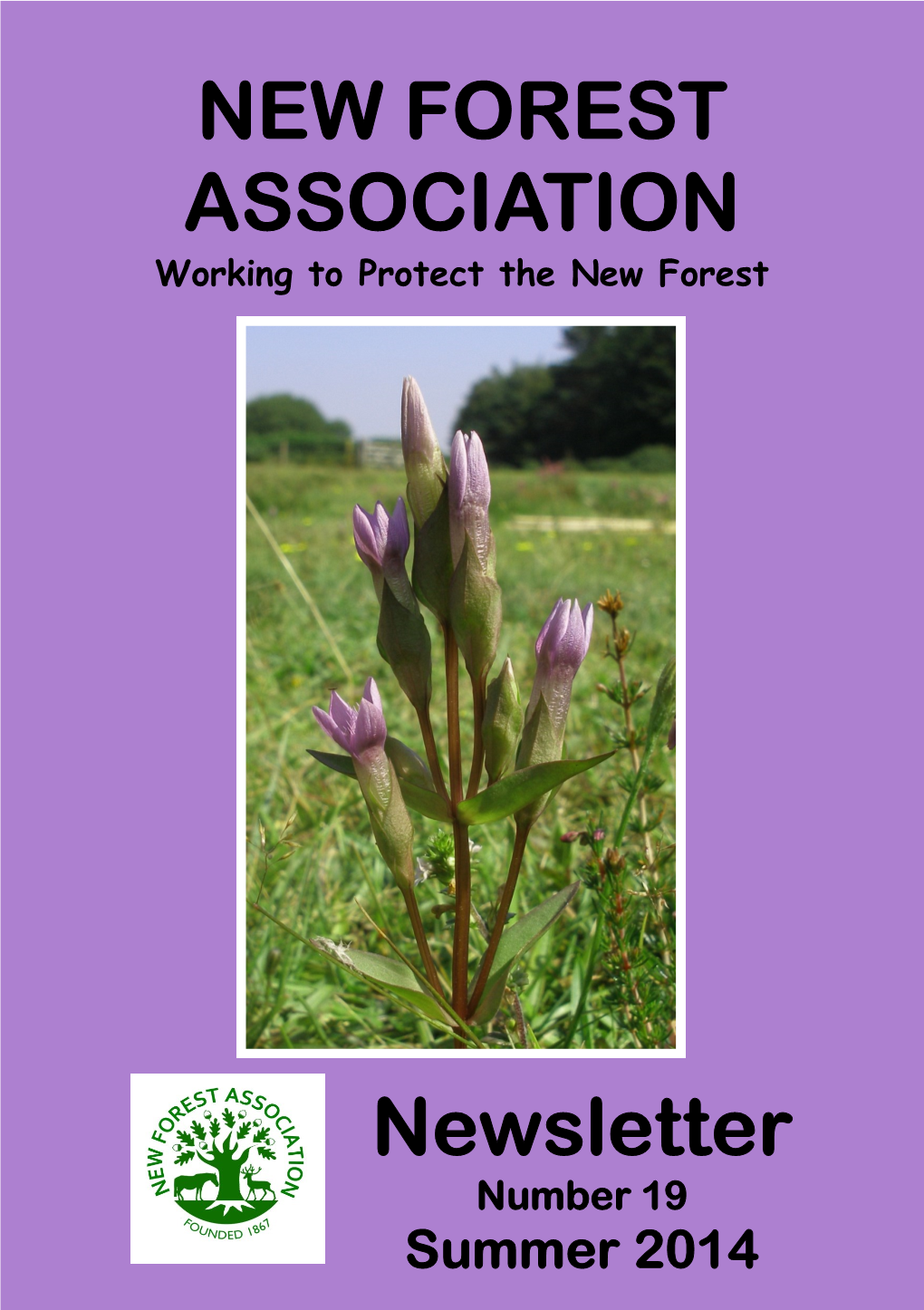 NEW FOREST ASSOCIATION Newsletter