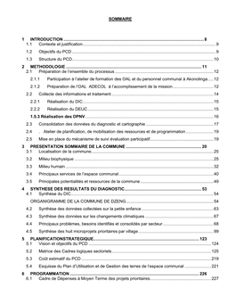 04 PCD Dzeng1.Pdf