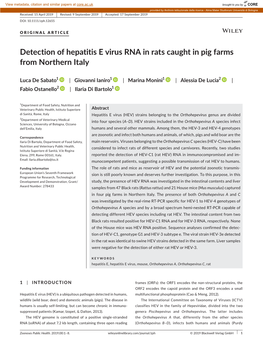 Detection of Hepatitis E Virus RNA in Rats Caught in Pig Farms from Northern Italy